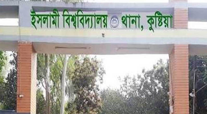 কুষ্টিয়ায় ছোট ভাইয়ের হাতে বড় ভাই খুন